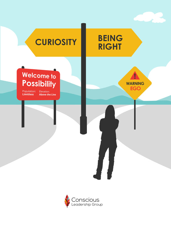 Curiosity: The Road to Possibility