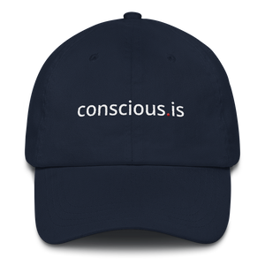 Conscious.is Hat